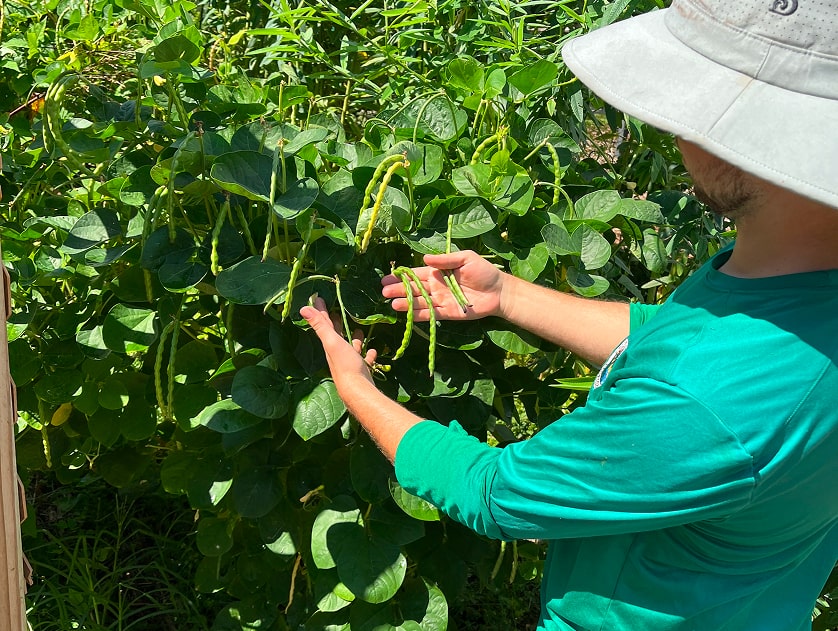 Environmental Horticulture